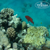 фото из отзыва ID 1921735