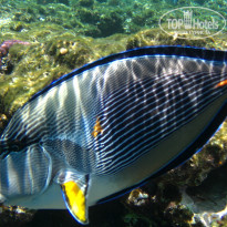 фото из отзыва ID 1921735