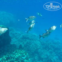 фото из отзыва ID 1921735