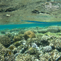 фото из отзыва ID 1921735