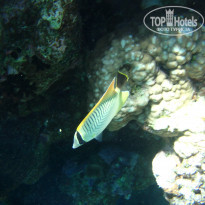 фото из отзыва ID 1921735