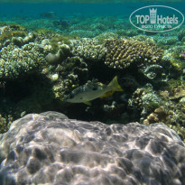 фото из отзыва ID 1921735