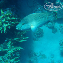 фото из отзыва ID 1921735