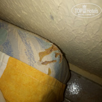 фото из отзыва ID 1921786