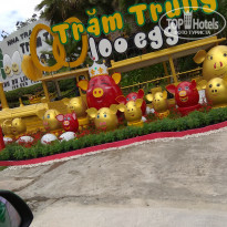 фото из отзыва ID 1921868