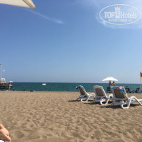 фото из отзыва ID 1921866