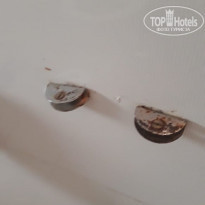 фото из отзыва ID 1921951