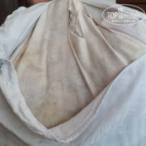 фото из отзыва ID 1921951