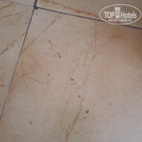 фото из отзыва ID 1921951