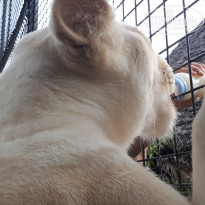 фото из отзыва ID 1922175