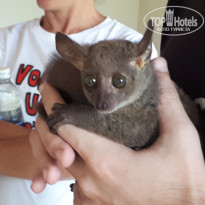 фото из отзыва ID 1922175