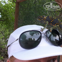 фото из отзыва ID 1922175