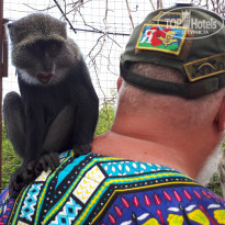 фото из отзыва ID 1922175