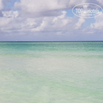 фото из отзыва ID 1922219