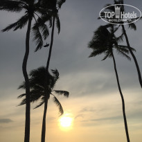 фото из отзыва ID 1922257