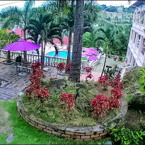 фото из отзыва ID 1922272