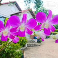 фото из отзыва ID 1922272