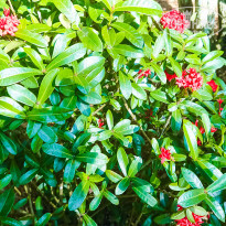 фото из отзыва ID 1922272