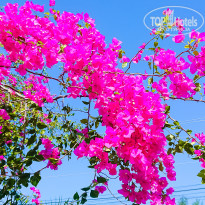 фото из отзыва ID 1922272