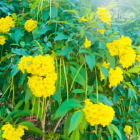 фото из отзыва ID 1922272