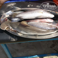 фото из отзыва ID 1922105