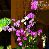 фото из отзыва ID 1922339