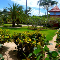 фото из отзыва ID 1922339