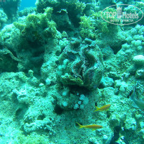 фото из отзыва ID 1922567