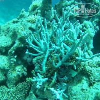 фото из отзыва ID 1922567