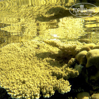 фото из отзыва ID 1922567