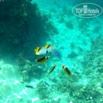 фото из отзыва ID 1922567