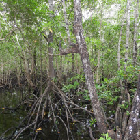 фото из отзыва ID 1922577