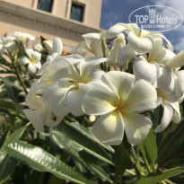 фото из отзыва ID 1922653