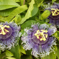 фото из отзыва ID 1922704