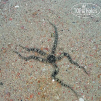 фото из отзыва ID 1922736