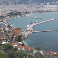 фото из отзыва ID 1922749