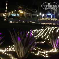 фото из отзыва ID 1922782