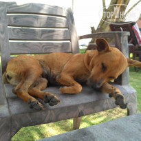 фото из отзыва ID 1922791