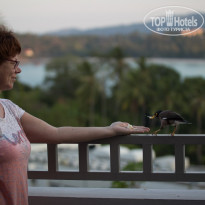 фото из отзыва ID 1922921