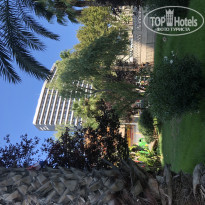 фото из отзыва ID 1922986