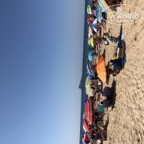 фото из отзыва ID 1922986