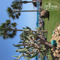 фото из отзыва ID 1923090