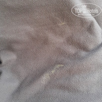 фото из отзыва ID 1923100