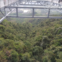 фото из отзыва ID 1923101