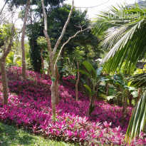 фото из отзыва ID 1923101