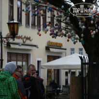 фото из отзыва ID 1923141