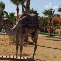 фото из отзыва ID 1923172