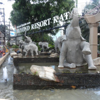 фото из отзыва ID 1923164