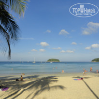 фото из отзыва ID 1923164