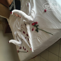 фото из отзыва ID 1923214